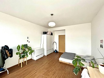 Pronájem bytu 1+1 35 m²