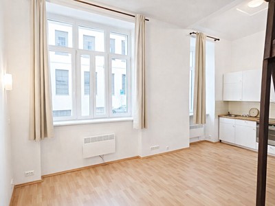 Pronájem bytu 1+kk 30 m²