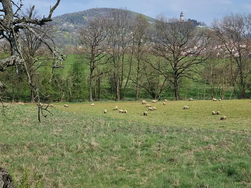 Pronájem pole 850 m², Štramberk – náhled fotky 2