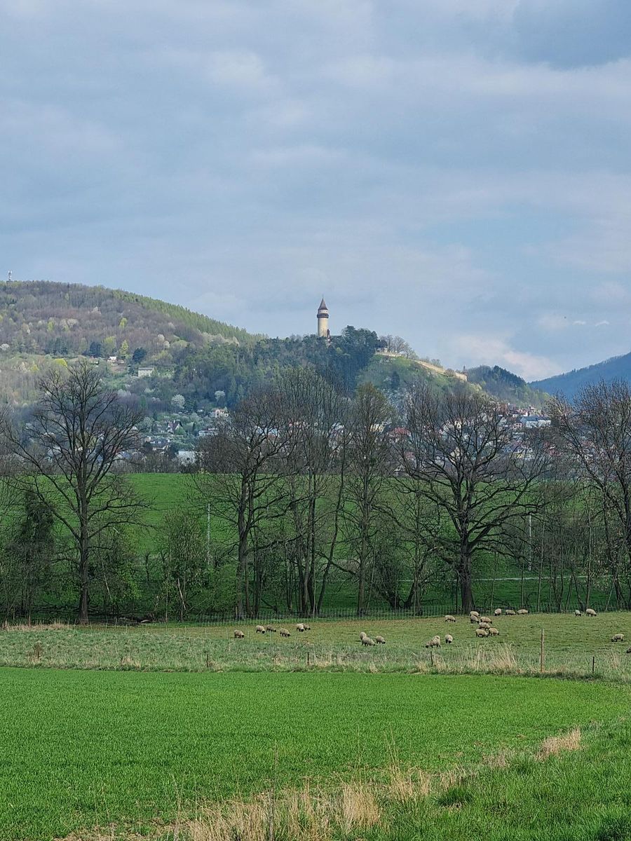 Pronájem pole 850 m² – fotografie 3