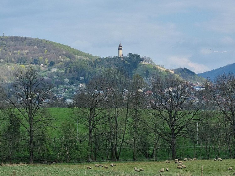 Pronájem pozemku, 850 m² (3 z 7)