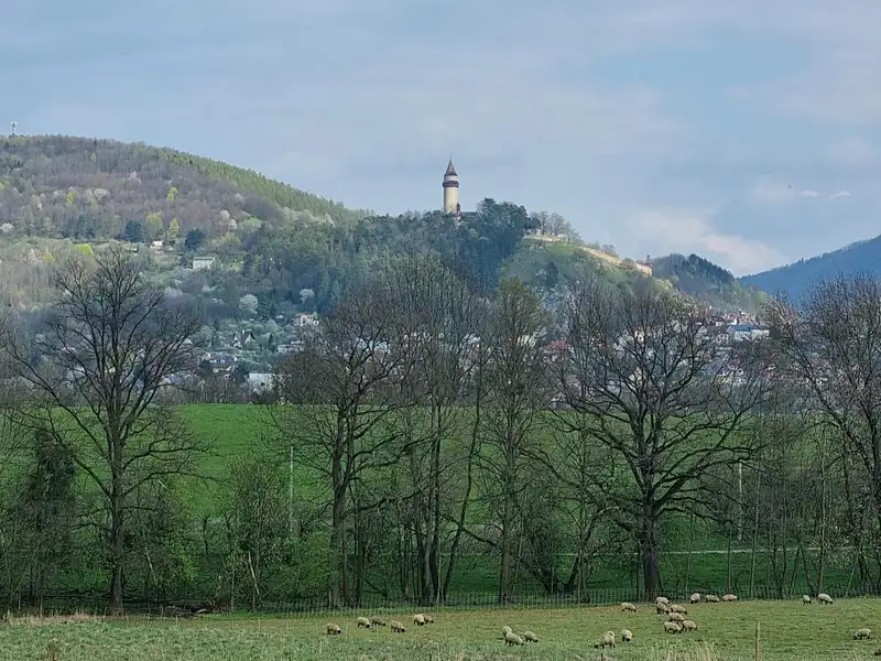 Pronájem pole 850 m², Štramberk – náhled fotky 3