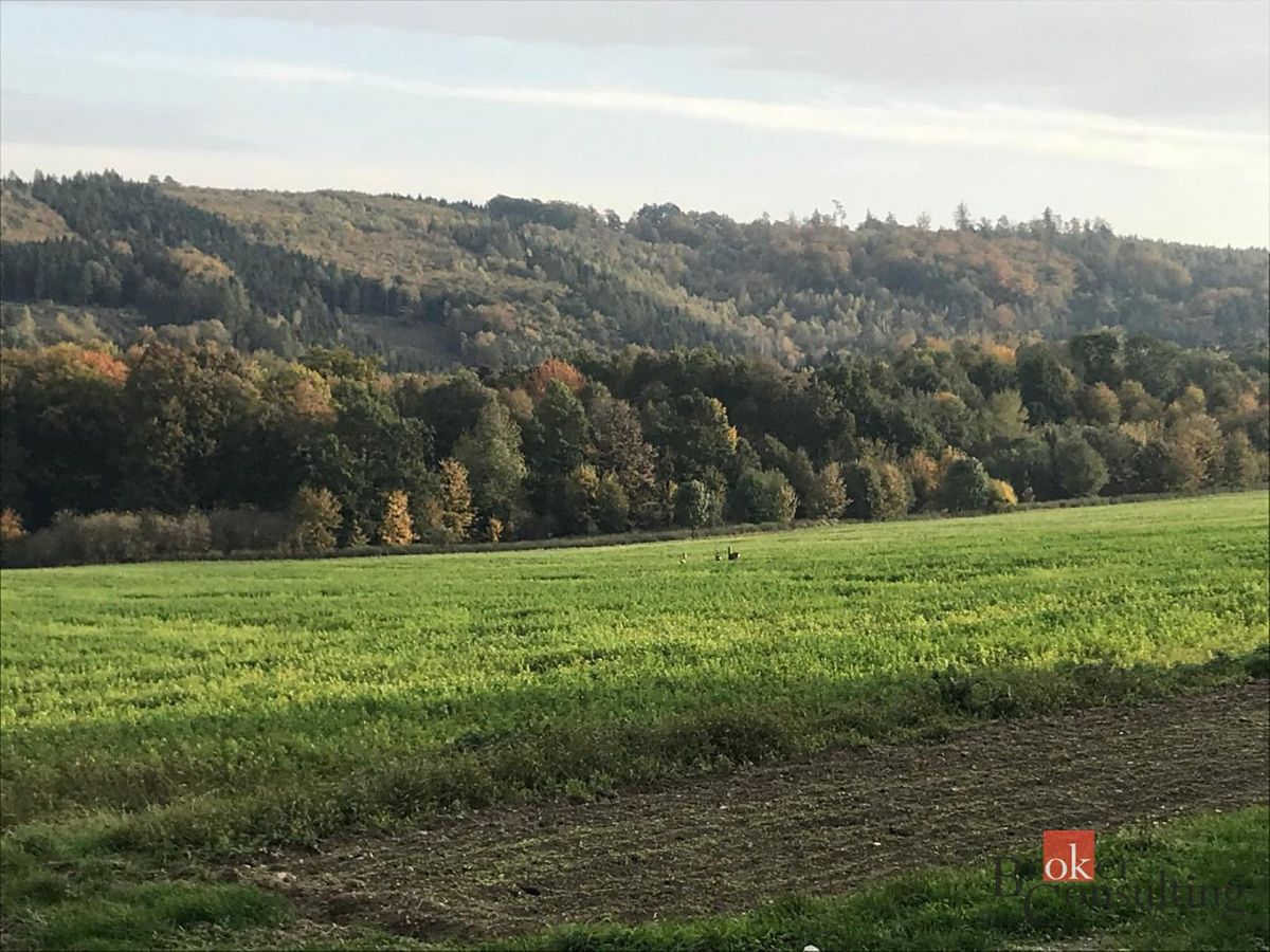 Prodej stavebního pozemku 1395 m², Čavisov – fotka 1 z 3