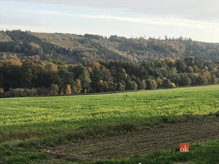 Grundstück zum Kauf, 1.395 m² (1 von 9)