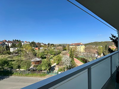 Prodej bytu 2+kk 46 m² (Jednopodlažní)