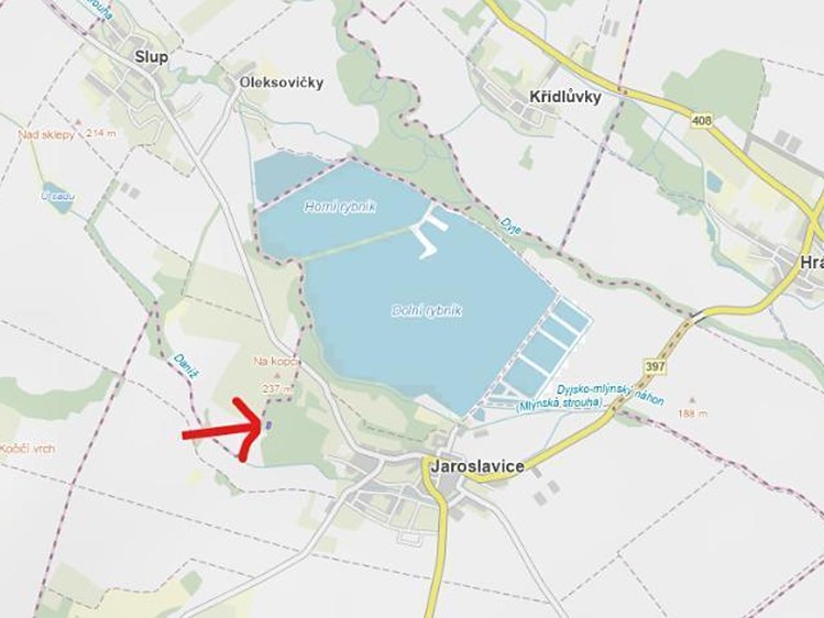 Ostatní