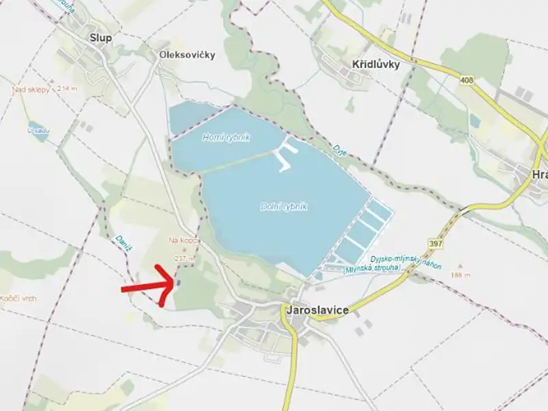 Prodej rodinného domu 266 m², pozemek 1985 m², Jaroslavice – náhled fotky 3