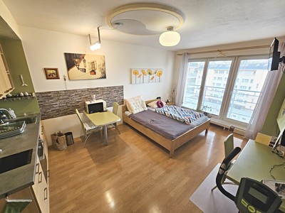 Pronájem bytu 1+kk 30 m²