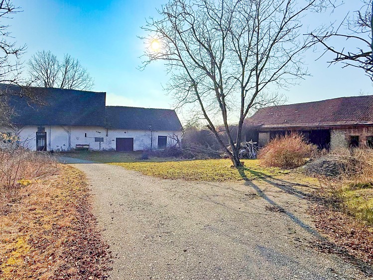 Prodej pozemku, 8 684 m² (5 z 16)