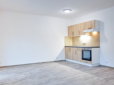 Pronájem bytu 1+kk 38 m²