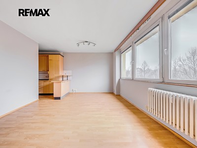 Pronájem bytu 1+kk 35 m² (Jednopodlažní)