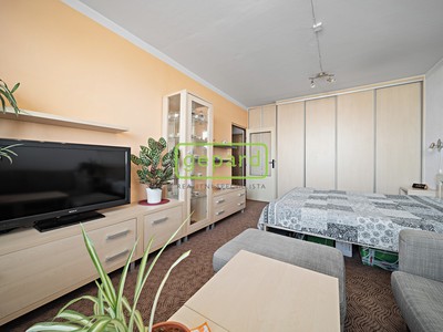 Prodej bytu 1+1 41 m²