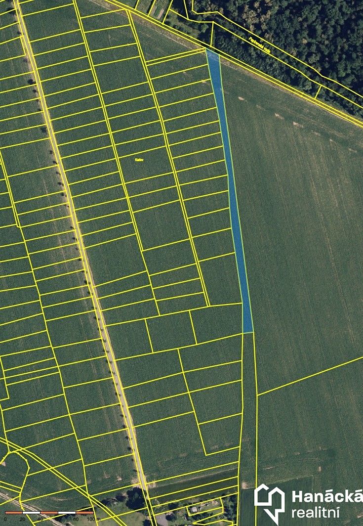 Prodej pole 4912 m² – fotografie 3
