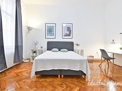 Pronájem bytu 2+1 53 m²