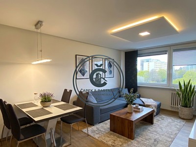 Pronájem bytu 3+kk 63 m² (Jednopodlažní)