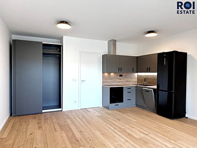 Pronájem bytu 1+kk 43 m²