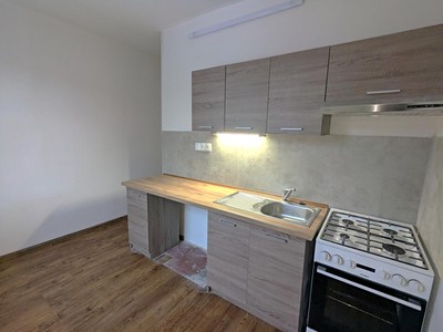 Pronájem bytu 2+1 54 m² (Jednopodlažní)