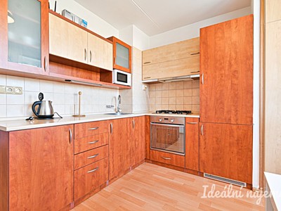 Pronájem bytu 1+1 45 m²