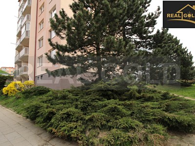 Prodej bytu 3+1 60 m²