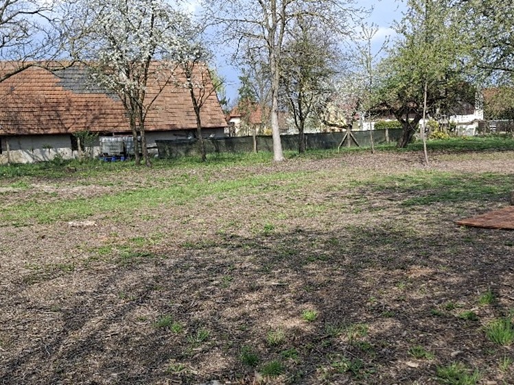 Ділянка на продаж, 2 666 м² (5 з 12)