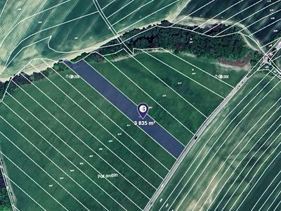 Prodej pole 3835 m²