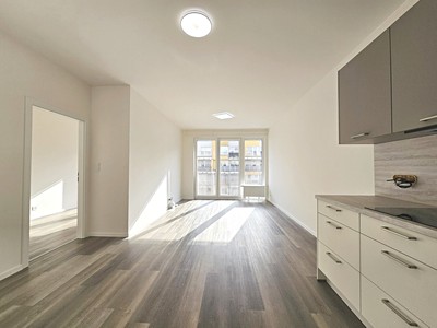 Pronájem bytu 2+kk 52 m²