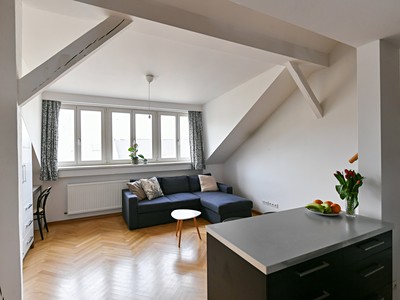 Prodej bytu 2+kk 43 m² (Loft) — photo 5