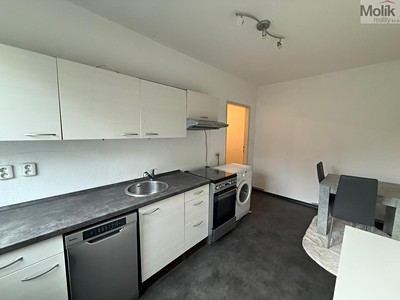Pronájem bytu 1+1 39 m²