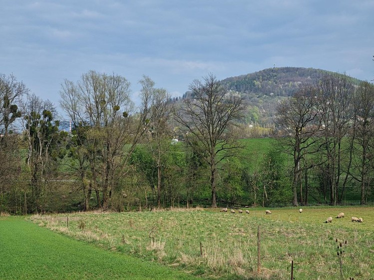 Pronájem pozemku, 850 m² (7 z 7)