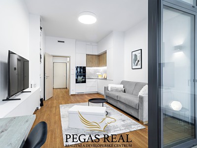 Pronájem bytu 1+kk 33 m²
