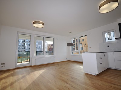 Pronájem bytu 4+kk 100 m² (Jednopodlažní)