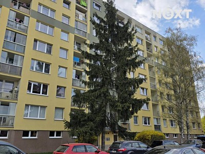 Pronájem bytu 3+kk 60 m² (Jednopodlažní)