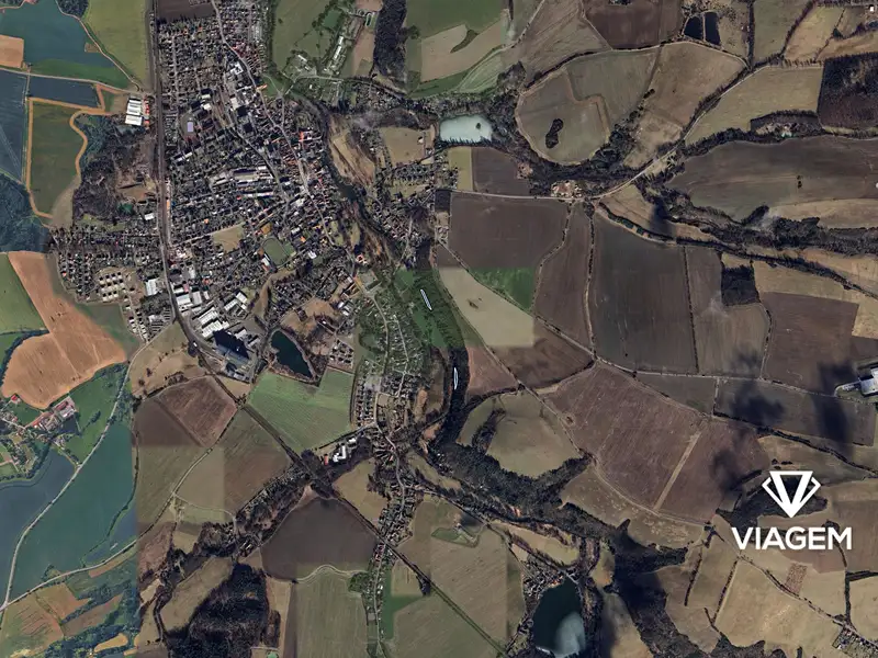 Prodej lesa 1554 m², Blovice – náhled fotky 3