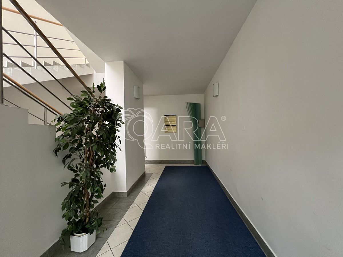 Pronájem kanceláře 308 m² – fotografie 5