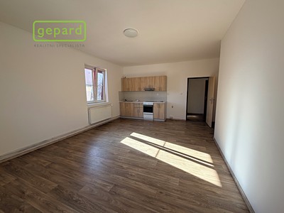 Pronájem bytu 1+kk 37 m²
