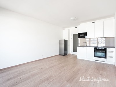 Pronájem bytu 1+kk 32 m²