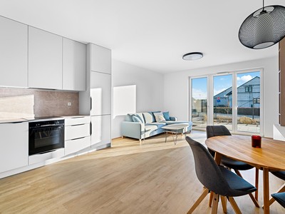 Pronájem bytu 2+kk 55 m² (Jednopodlažní)