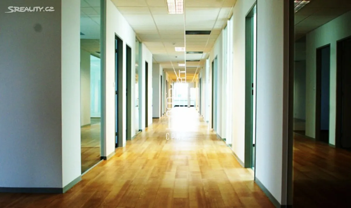 Pronájem kanceláře 250 m² – pohled 5