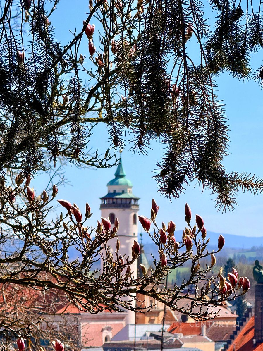 Prodej vícegeneračního domu 450 m², pozemek 1452 m² – fotografie 3