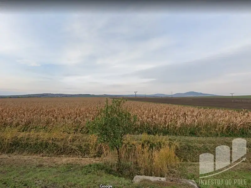 Prodej pole 3420 m², Starovičky – náhled fotky 3