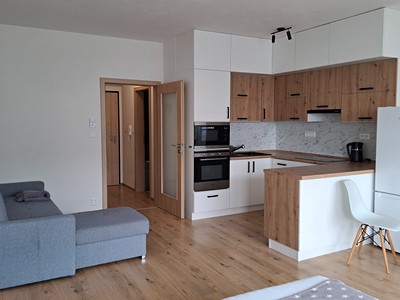 Pronájem bytu 1+kk 41 m² (Jednopodlažní)