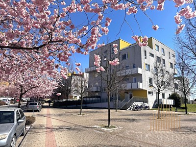 Pronájem bytu 2+kk 45 m²