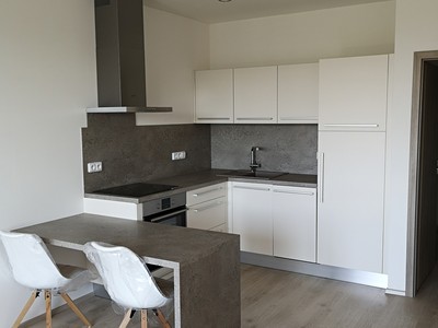 Pronájem bytu 1+kk 34 m²