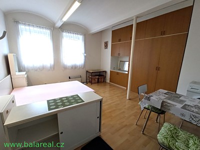 Pronájem bytu 1+kk 26 m²