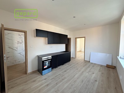 Pronájem bytu 1+1 49 m²