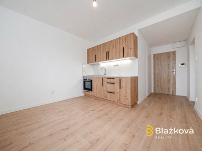 Pronájem bytu 1+1 38 m²
