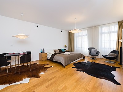 Pronájem bytu 1+kk 49 m²