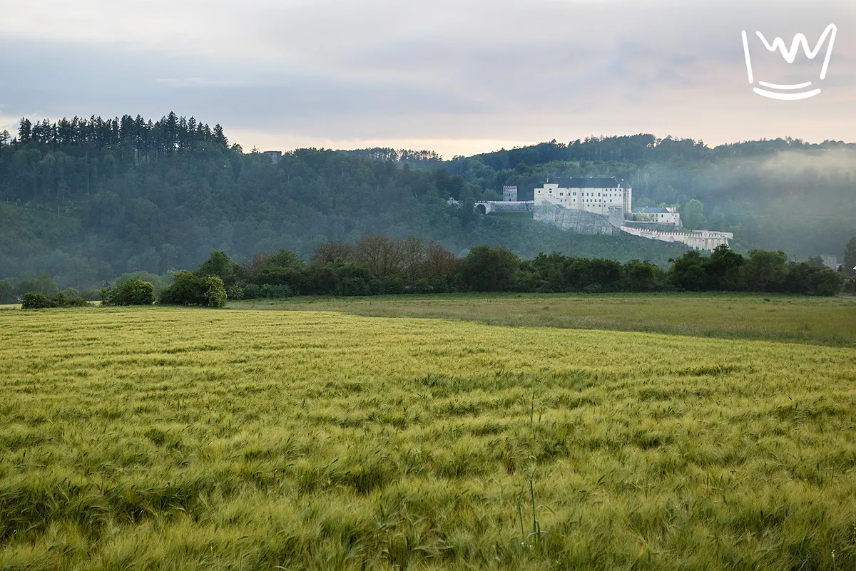 Prodej stavebního pozemku 2748 m²