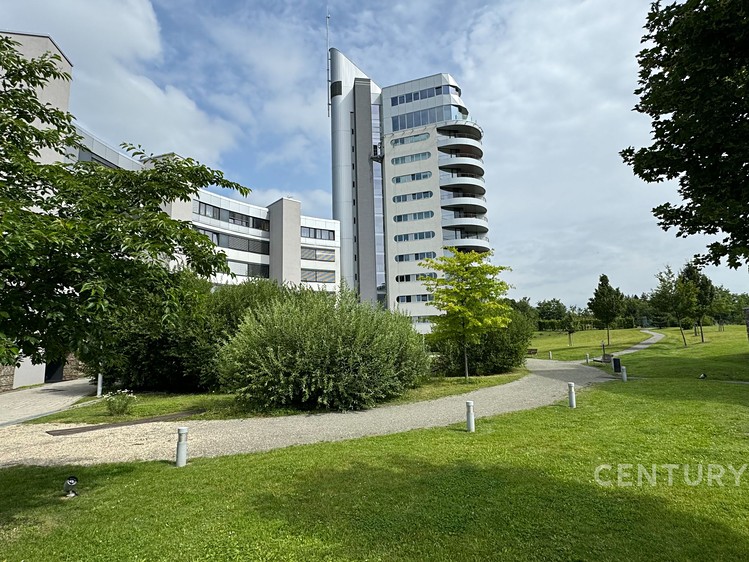 The 4+kk flat for sale, 135 m² (14 of 16)
