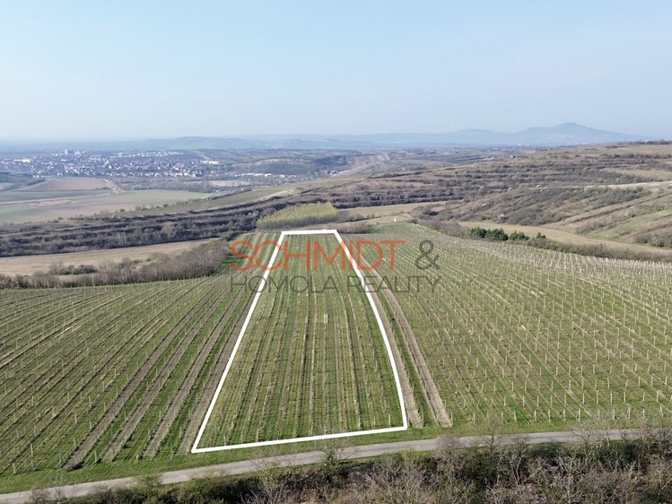 Grundstück zum Kauf, 11.748 m² (1 von 8)